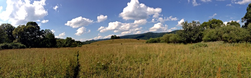 meadow 2